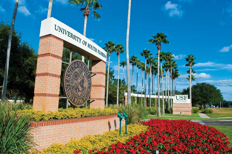 圖片: INTO University of South Florida 南佛羅里達大學
