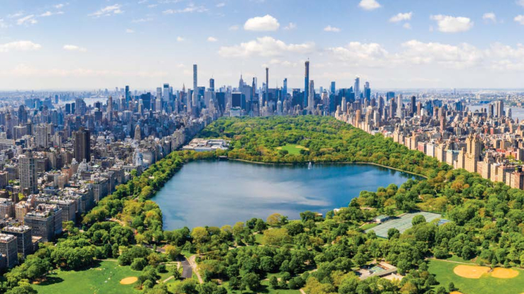 圖片: kaplan_ny_central_park