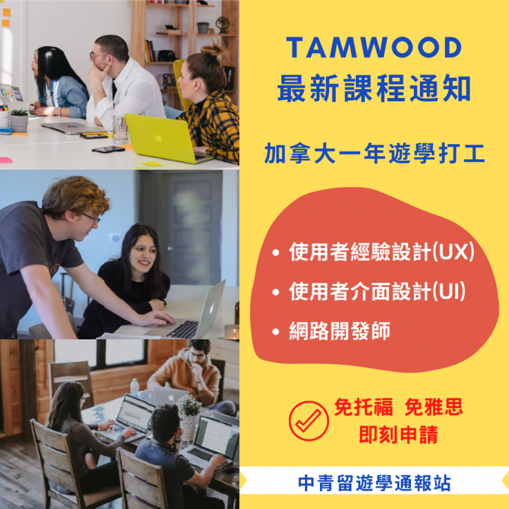 圖片: 加拿大Tamwood最新⮩數位設計⮨遊學打工課程