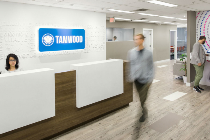 圖片: Tamwood Language Centres